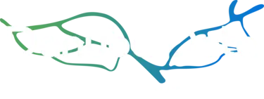 DanubeData Logo